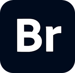 Adobe Bridge logo