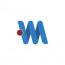 American Webs Master logo