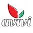 Avivi logo