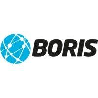 BORIS logo