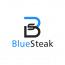 BlueSteak - eCommerce Consulting Agency logo
