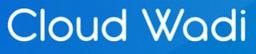 CloudWadi Freight Forwarding Software logo