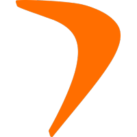 Flowace logo