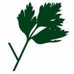 Parsley logo