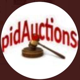 Penny Auction Software logo