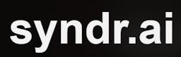 Syndr.ai logo
