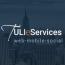 TULI eServices Inc logo