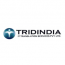 Tridindia IT Translation Services Private Limited logo