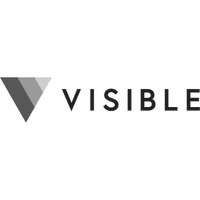 Visible for Investors logo